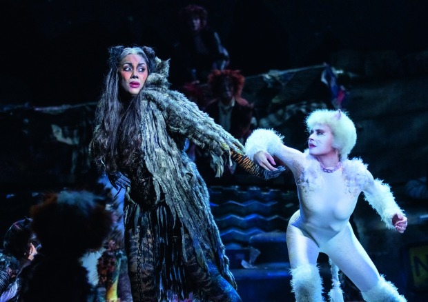 Musical Cats startet wieder im Ronacher.