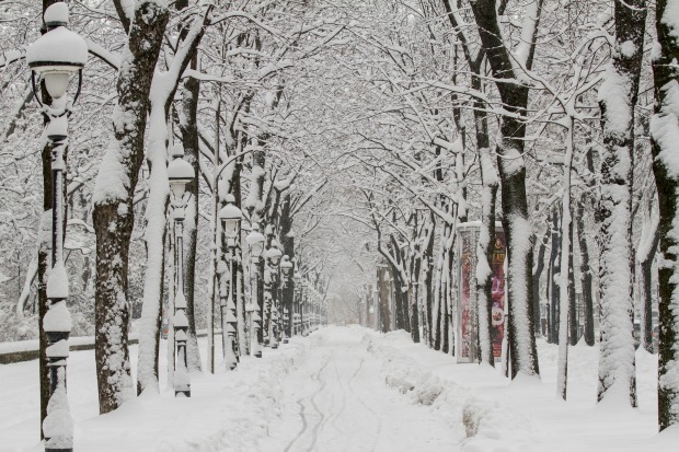 Winterliche Straße in Wien