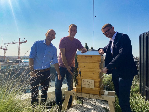 Bienenstock am Dach der Wiener Rathausstraße | Credit: BUWOG