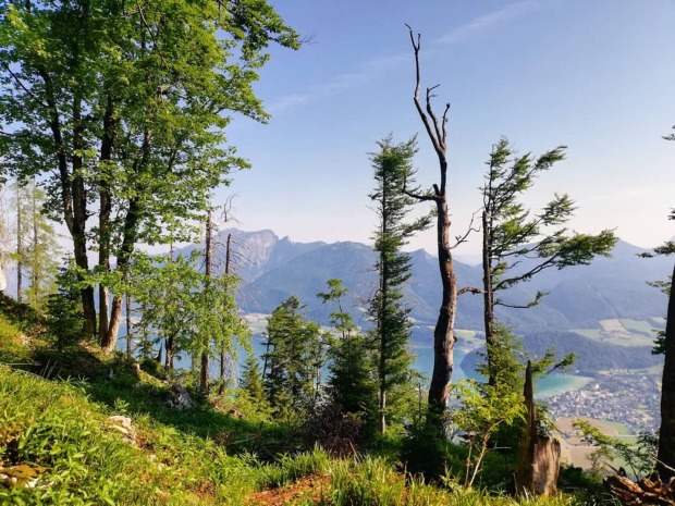 Stets im Blick: der Wolfgangsee | Credit: Simone Reitmeier