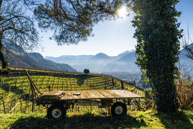 Aussicht auf die Weinberge Tal von Schloss Rametz nahe Meran | Credit: iStock.com/Neonyn