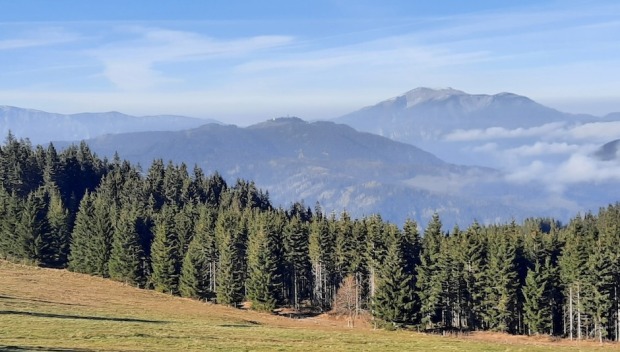Klimaschutz