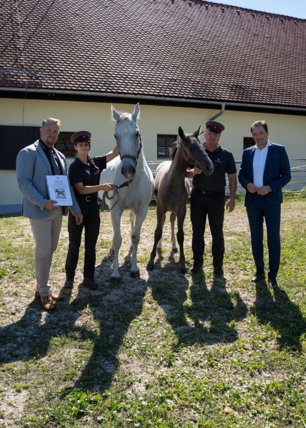 Landwirtschaftsminister Totschnig in Piber