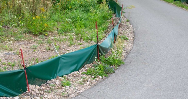 Ein grüner Froschzaun am Straßenrand.