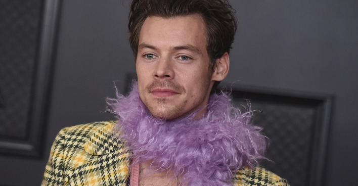 Sänger Harry Styles