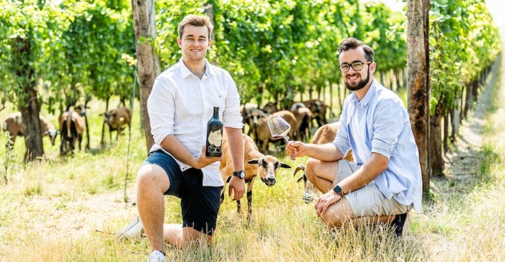 Weingut Auer
