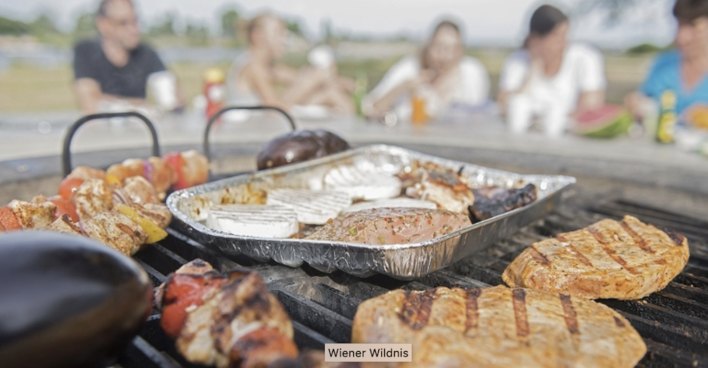 Fleisch und Gemüse am Grill | Credit: Wiener Wildnis