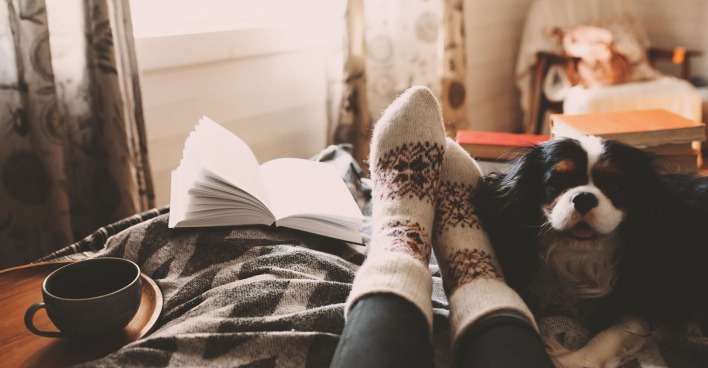 Frau liegt mit Hund auf der Couch | Credit: iStock.com/Mkovalevskaya