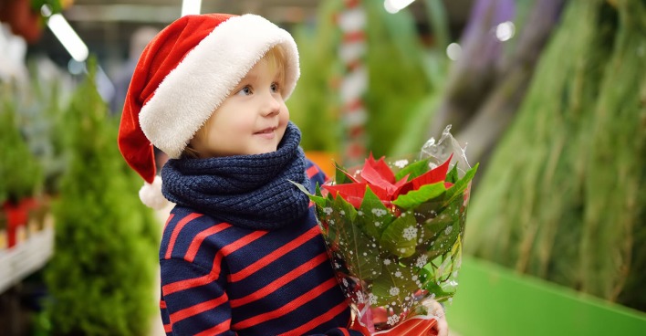 Junge hält Weihnachtsstern in der Hand | Credit: iStock.com/SbytovaMN