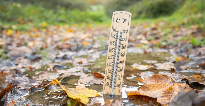 Ein Thermometer steckt im Boden voller Blätter.