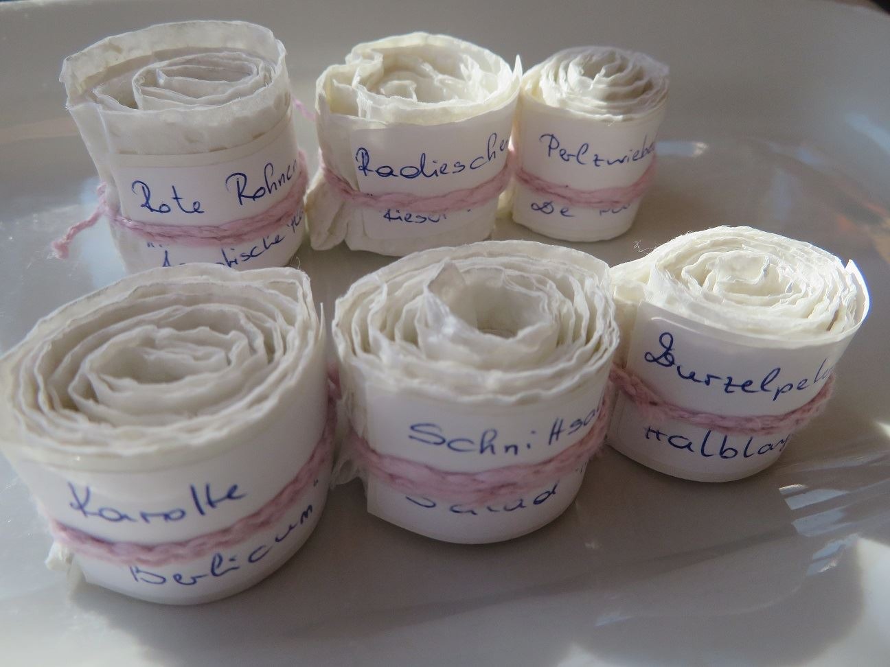 DIY-Samenbänder | Credit: Bellaflora