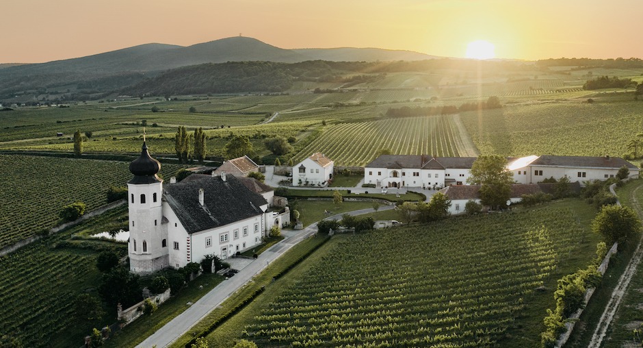 Wein Thermenregion