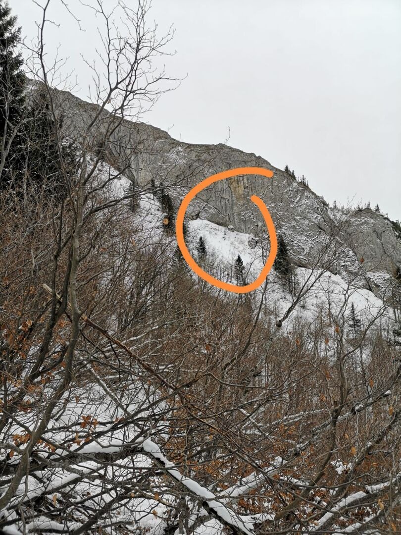 In extrem steilen Gelände mit Schnee hat sich der vermisste Hund versteckt.