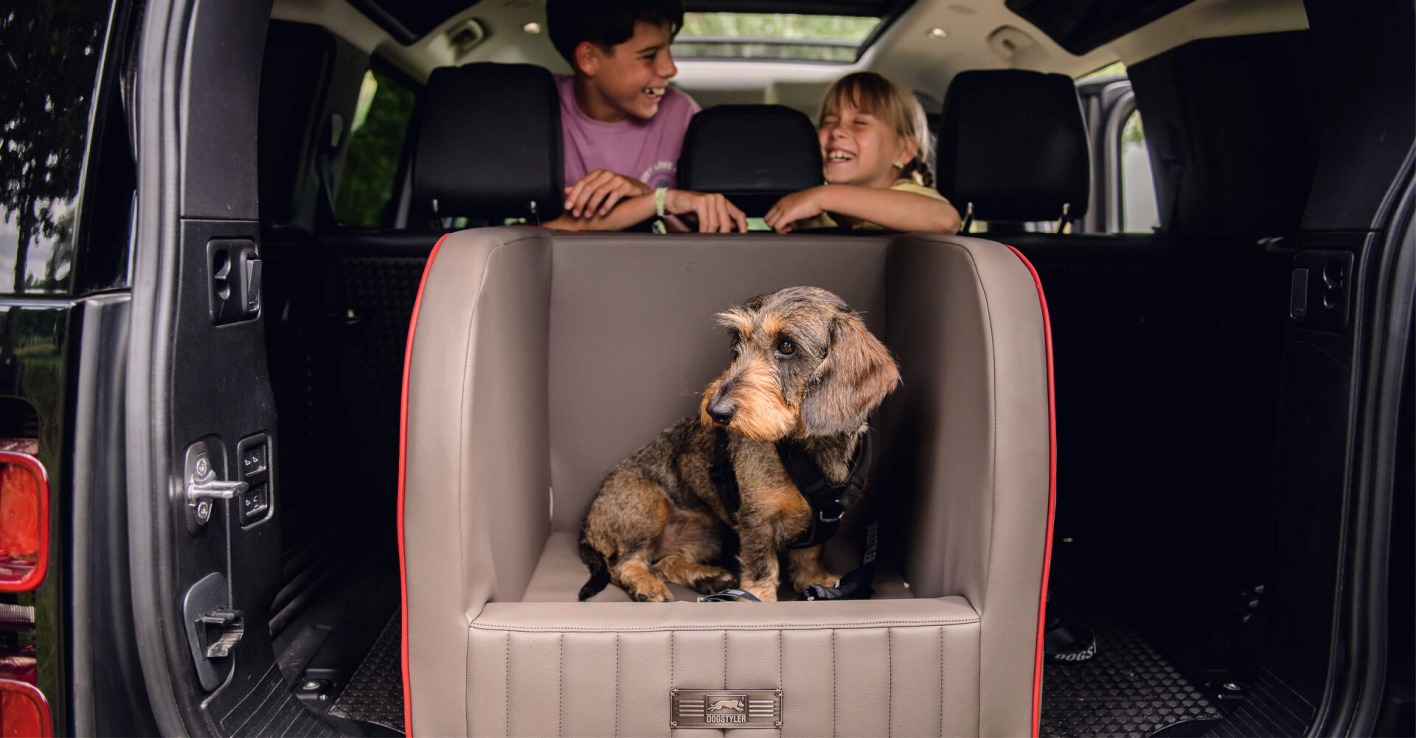 Hundebett im Auto
