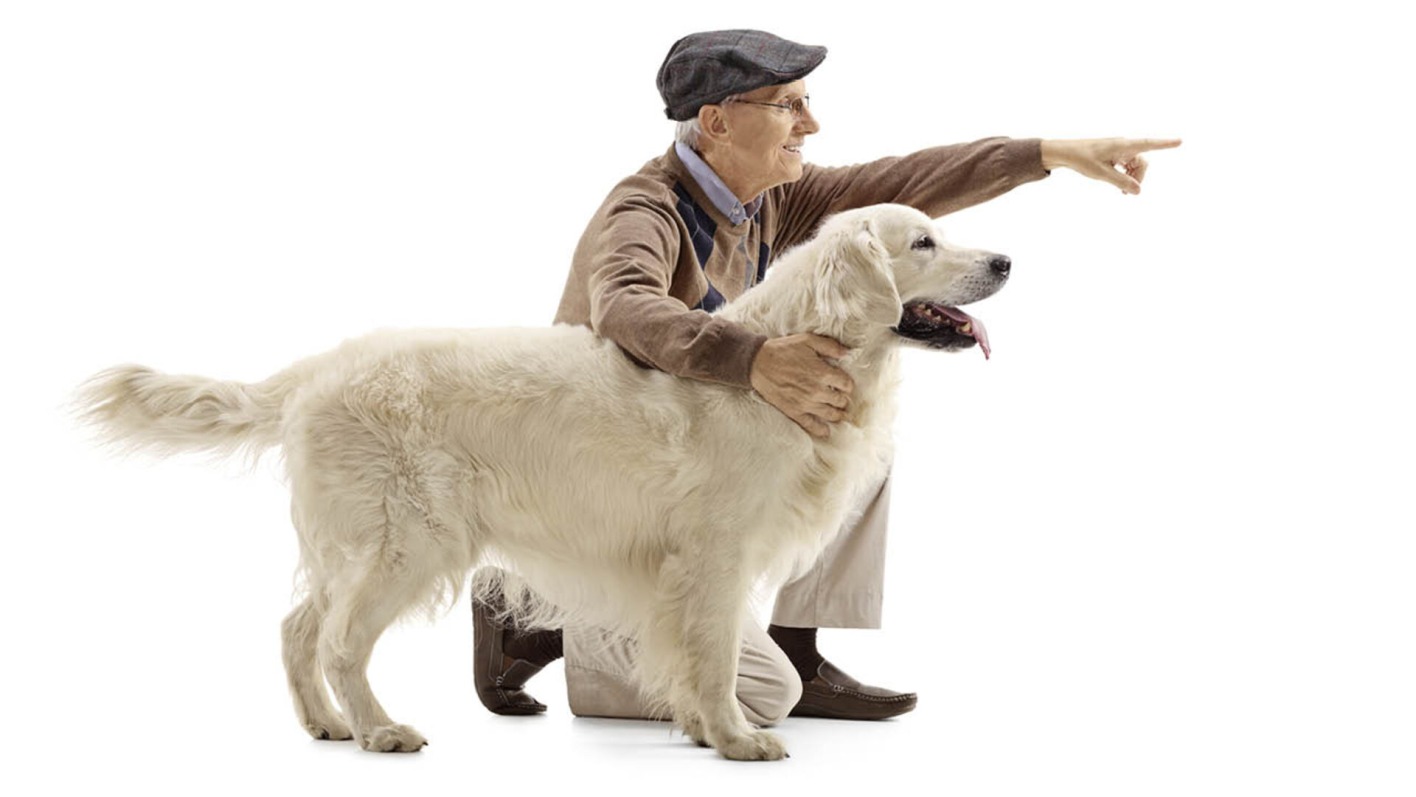 Der beste Freund des Menschen