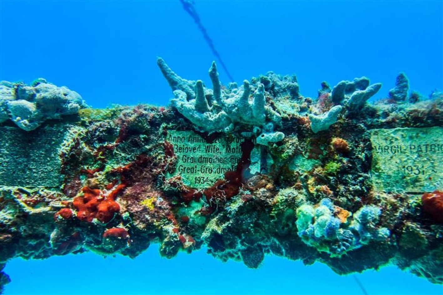 Unterwasserfriedhof mit Korallenbewuchs auf Grabplatten – ein einzigartiger Friedhof unter dem Meer, bei dem Natur und Erinnerung verschmelzen.