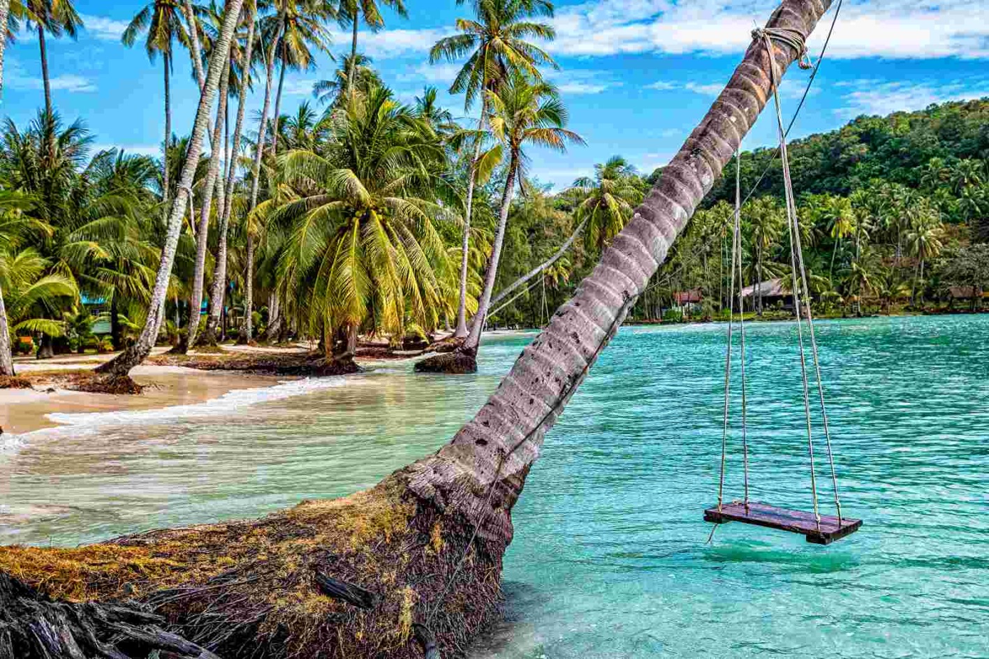 Schaukel an einer schrägen Palme über dem türkisfarbenen Wasser auf Koh Kood, umgeben von tropischem Dschungel.