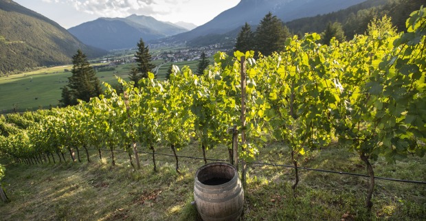 Weingut Flür in Tarrenz
