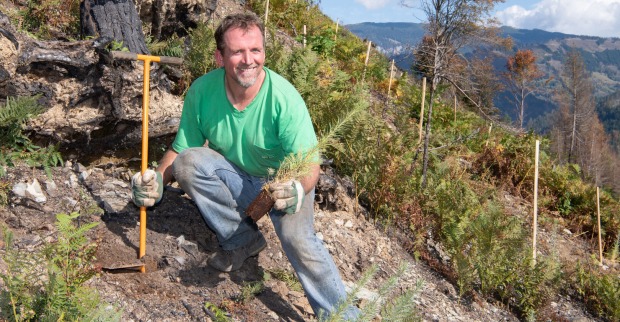 Forstarbeiter mit Setzling im Wald
