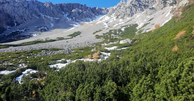 Berg_Natur_Schneeberg_Wandern