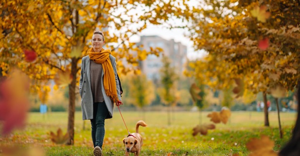 Spaziergängerin mit Hund