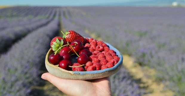 Schale mit Erdbeeren, Himbeeren und Kirschen