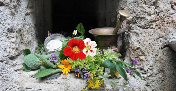 Naturkräuter und Mörser zur Herstellung von Kräutersalz