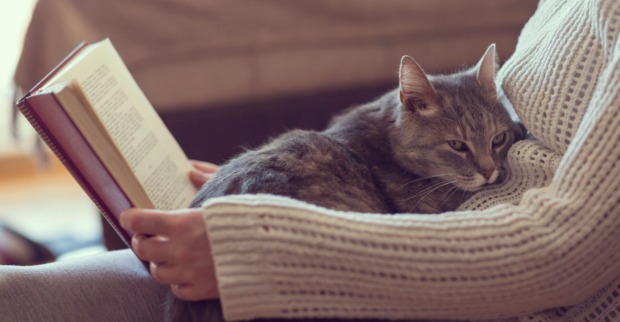 Frau mit Katze auf dem Schoß entspannt beim Lesen | Credit: iStock.com/vladans