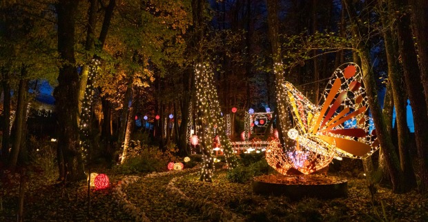 Lichterpark &amp; Adventzauber Domäne Lilienberg
