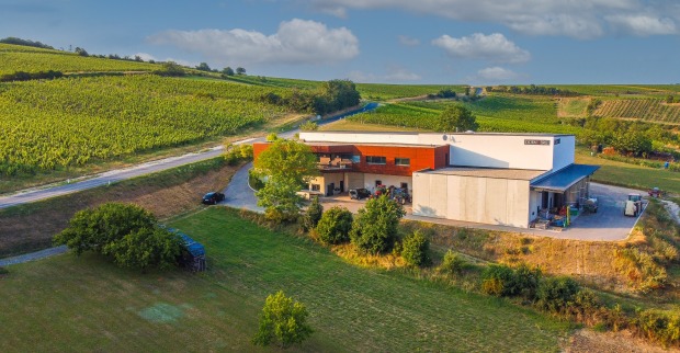 Das Weingut Dürnberg im Weinviertel