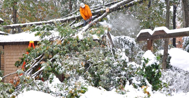 Schneeschäden am Dach von umgefallenen Baum