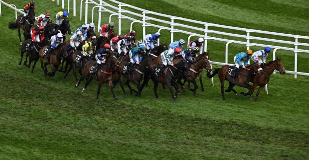 Viele Pferde beim Rennen in England.