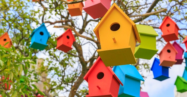 Bunte Vogelhäuser hängen in einem Baum | Credit: iStock.com/Vladimir1965