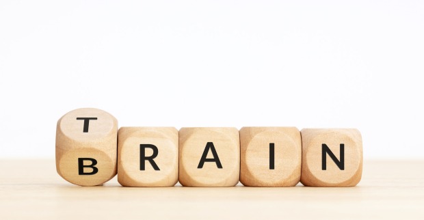 Würfel mit der Aufschrift Train Brain