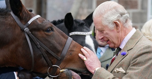 König Charles streichelt die Nüstern eines Pferdes.