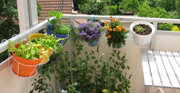 Bunter Garten auf einem Balkon | Credit: iStock.com/HeikeRau