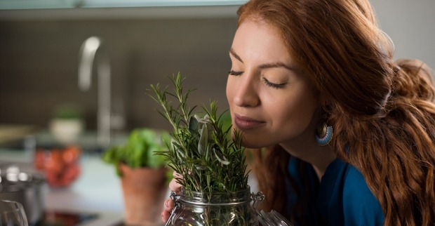 Frau riecht am Rosmarin | Credit: iStock.com/Ridofranz