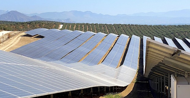 Photovoltaik-Anlage vor Olivenhainen | Credit: weekend Magazin