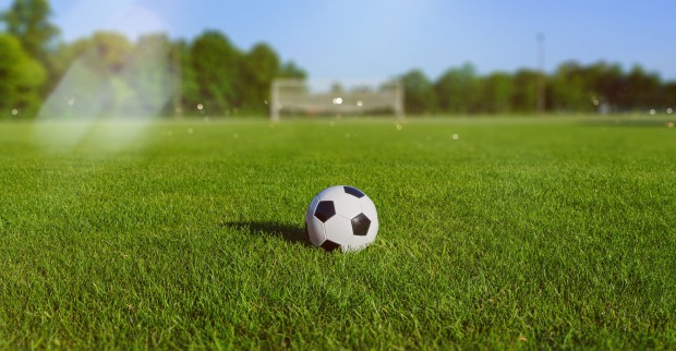 Ein Fußball auf dem Rasen