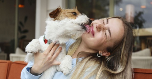Ein kleiner Hund schlecht eine Frau ab.