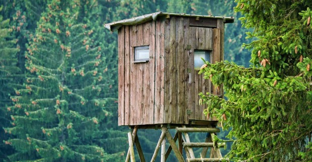Ein Jäger-Hochsitz in einem Wald.