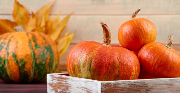 Kürbis in einer Holzkiste | Credit: iStock.com/Galina Atroshchenko