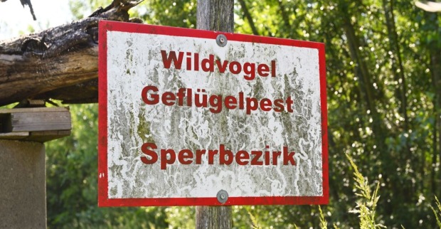 Warnschild zu Vogelgrippe