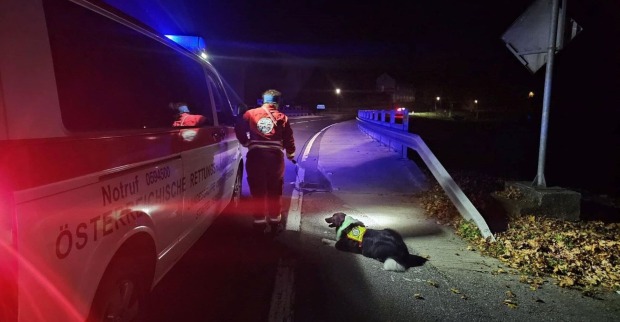 Ein Mann und ein Hund, die nach dem Vermissten suchten.