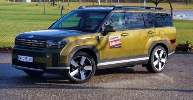 Ein Olive-grüner Hyundai Santa Fe parkt vor einer Wiese. Auf der Wiese wachsen einige junge Bäume, diese haben aber noch keine Blätter.