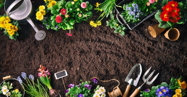 Ob Blumenbeet oder Gemüsegarten – im Frühling kommt das Leben zurück ins Grüne.