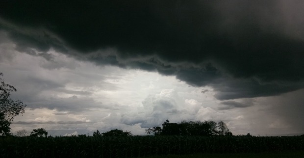 Dunkle Gewitterwolken über einem Maisfeld kündigen eine bevorstehende Unwetterlage an. Besonders im Osten Österreichs steigt am Montag die Gefahr kräftiger Gewitter.
