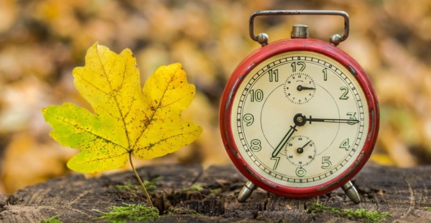 Roter Wecker und gelbes Herbstblatt auf Baumstumpf – Symbol für die Zeitumstellung im Herbst in Österreich.