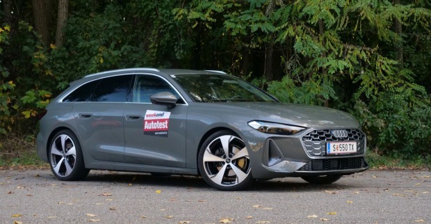 Ein grauer Audi A5 parkt vor einem Laubwald. Es ist Herbst, darauf deuten einige verfärbte Blätter hin.