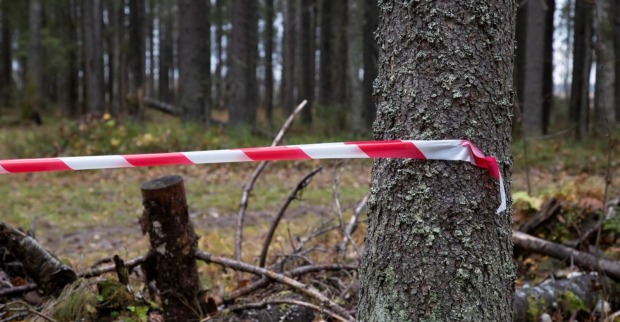 Absperrband in einem Wald/ 14-Jähriger tot im Wald in Dormagen gefunden